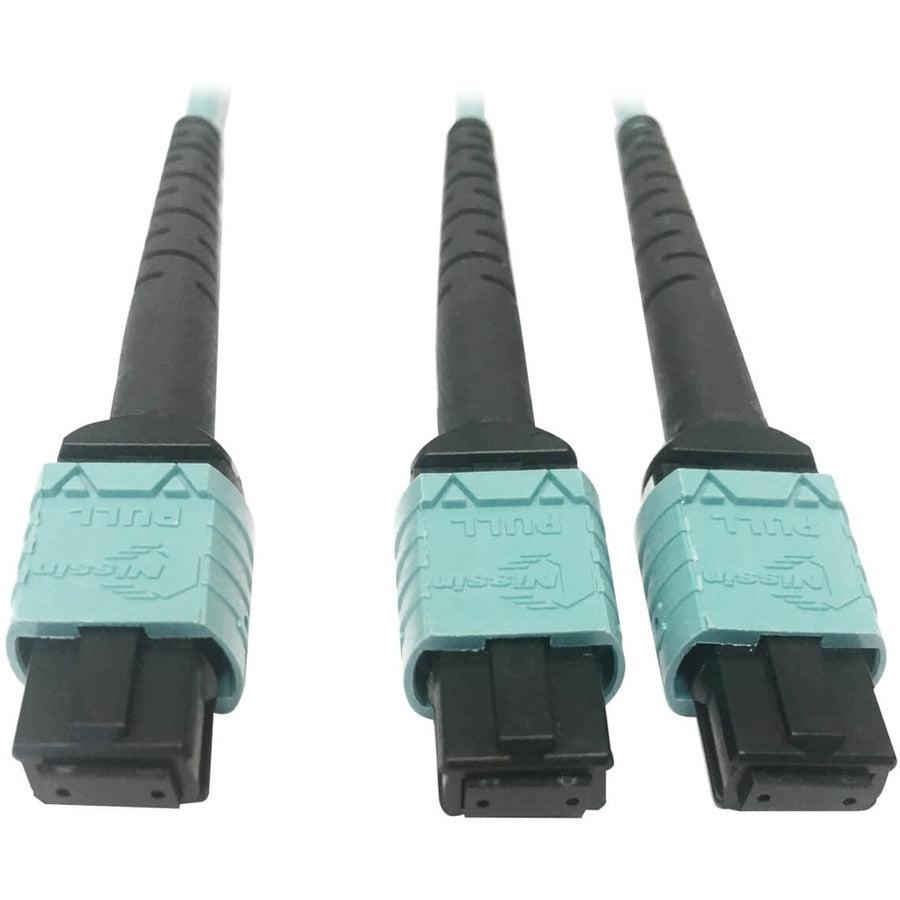 Tripp Lite N846D-03M-24Baq 400G Multimode 50/125 Om4 Plenum Fiber Optic Cable, 24F Mtp/Mpo-Pc To (X2) 12F Mtp/Mpo-Pc (F/F), Aqua, 3 M