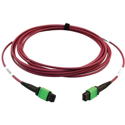 Tripp Lite N846D-05M-16Amg 400G Multimode 50/125 Om4 Plenum-Rated Fiber Optic Cable, 16F Mtp/Mpo-Apc (F/F), Magenta, 5 M