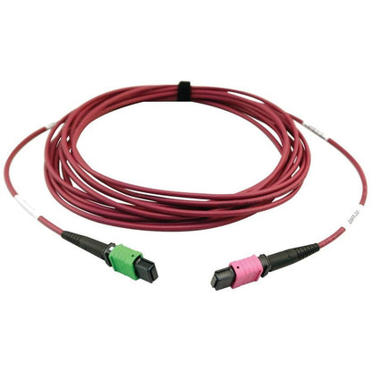 Tripp Lite N846D-05M-16Bmg 400G Multimode 50/125 Om4 Plenum Fiber Optic Cable, 16F Mtp/Mpo-Apc To Mtp/Mpo-Upc (F/F), Magenta, 5 M