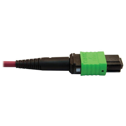 Tripp Lite N846D-05M-16Cmg 400G Multimode 50/125 Om4 Plenum Fiber Optic Cable, 16F Mtp/Mpo-Apc To 24F Mtp/Mpo-Upc (F/F), Magenta, 5 M