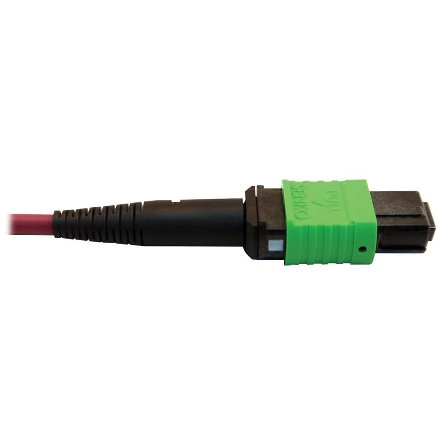 Tripp Lite N846D-05M-16Dmg 400G Multimode 50/125 Om4 Plenum Fiber Optic Cable, 16F Mtp/Mpo-Apc To (X2) 12F Mtp/Mpo-Upc (F/F), Magenta, 5 M