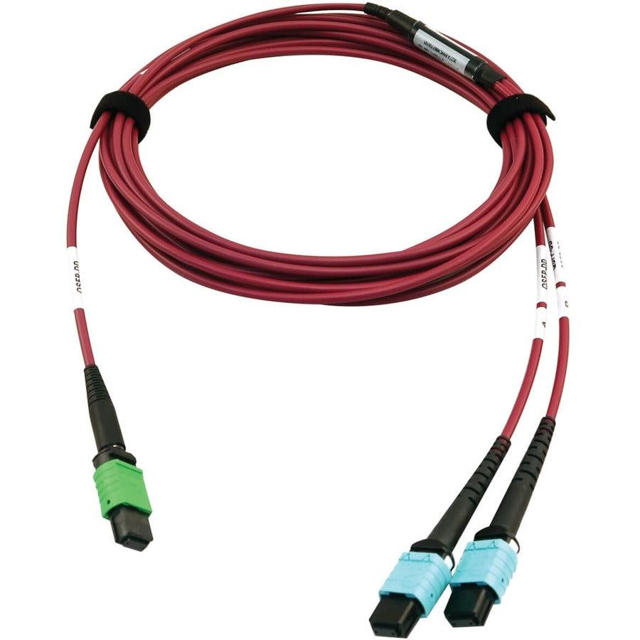 Tripp Lite N846D-05M-16Dmg 400G Multimode 50/125 Om4 Plenum Fiber Optic Cable, 16F Mtp/Mpo-Apc To (X2) 12F Mtp/Mpo-Upc (F/F), Magenta, 5 M