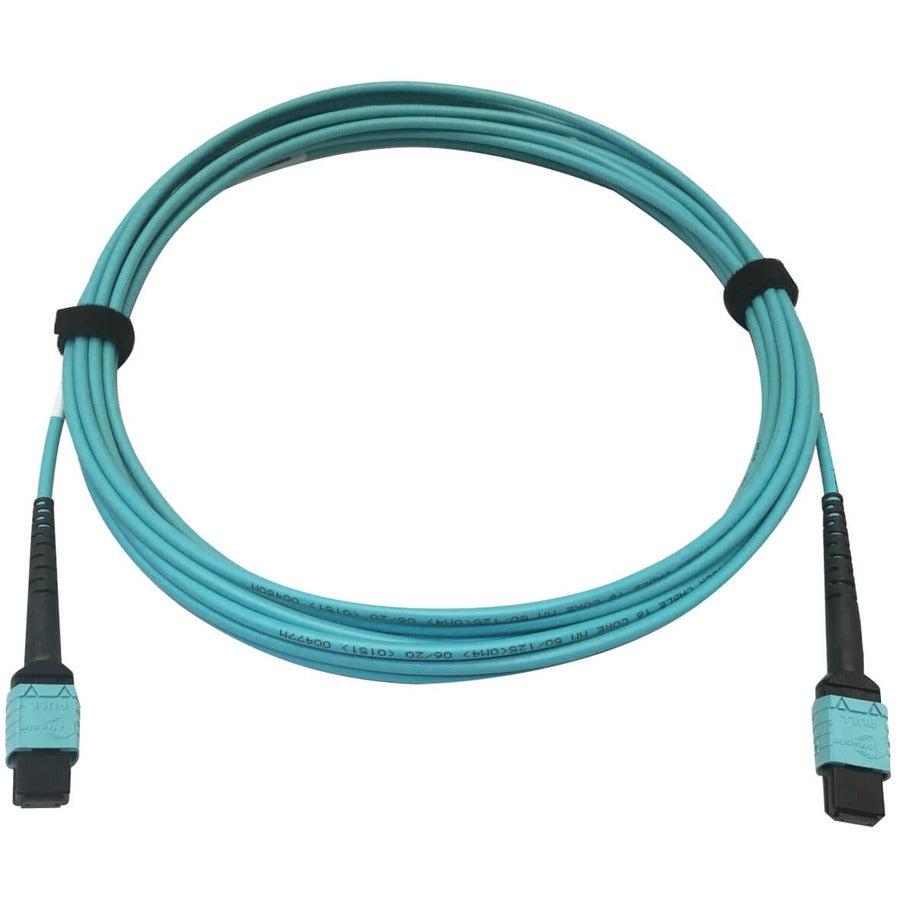 Tripp Lite N846D-05M-24Aaq 400G Multimode 50/125 Om4 Plenum-Rated Fiber Optic Cable, 24F Mtp/Mpo-Pc (F/F), Aqua, 5 M