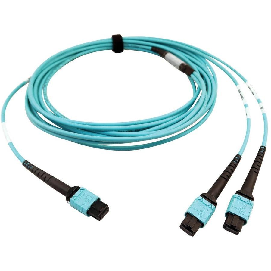 Tripp Lite N846D-05M-24Baq 400G Multimode 50/125 Om4 Plenum Fiber Optic Cable, 24F Mtp/Mpo-Pc To (X2) 12F Mtp/Mpo-Pc (F/F), Aqua, 5 M