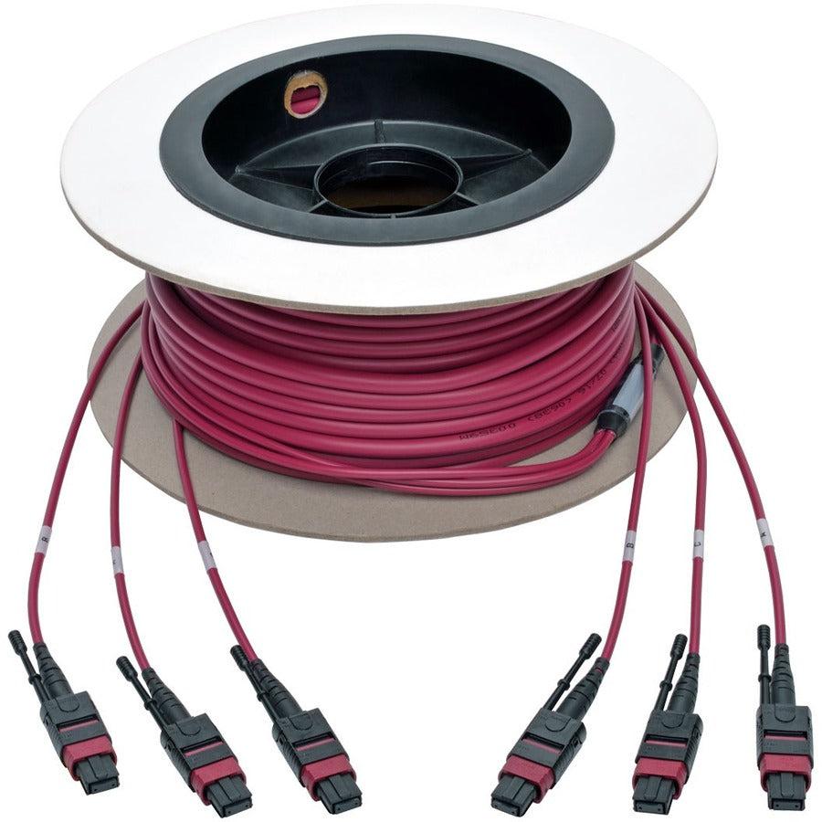 Tripp Lite N858-15M-3X8-Mg Mtp/Mpo Multimode Base-8 Trunk Cable, 24-Strand, 40Gb/100Gb,