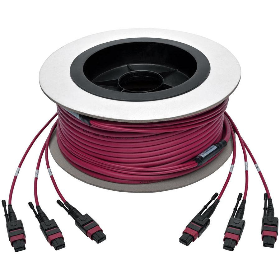 Tripp Lite N858-23M-3X8-Mg Mtp/Mpo Multimode Base-8 Trunk Cable, 24-Strand, 40Gb/100Gb,