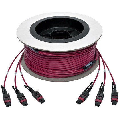 Tripp Lite N858-23M-3X8-Mg Mtp/Mpo Multimode Base-8 Trunk Cable, 24-Strand, 40Gb/100Gb,