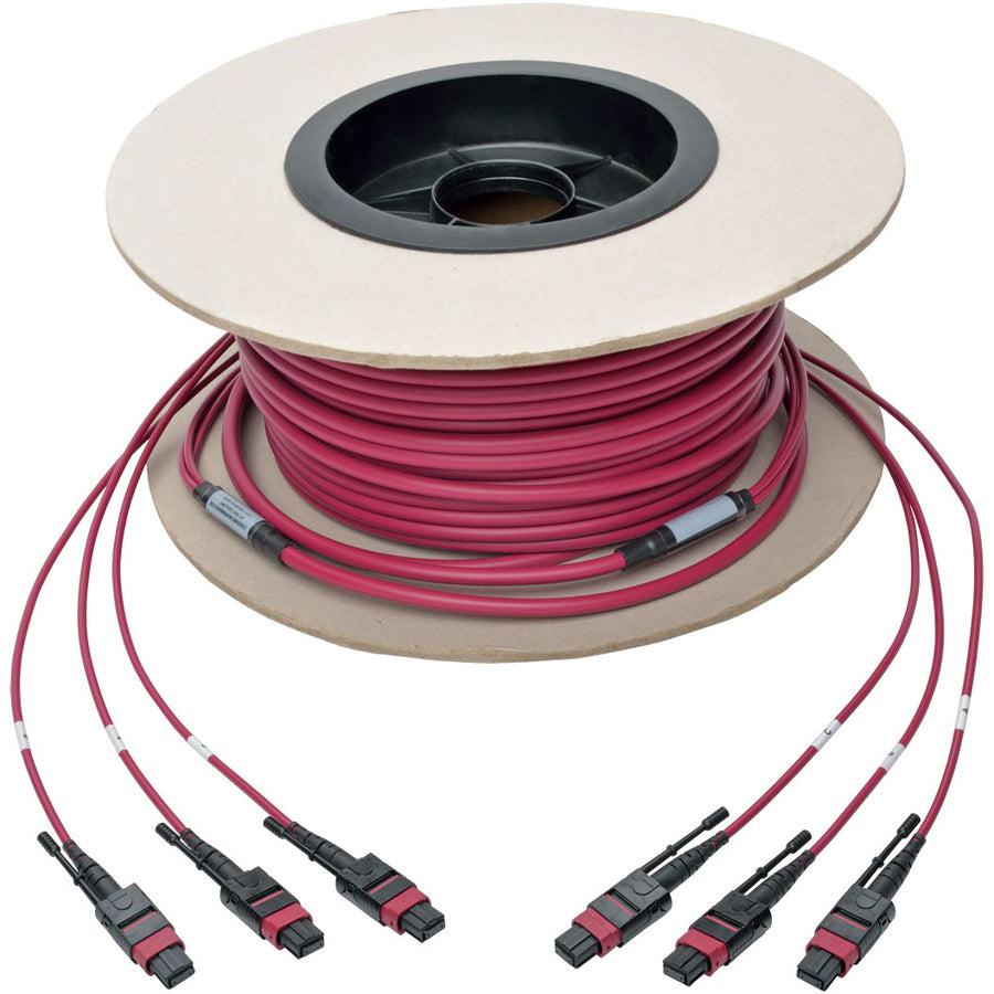 Tripp Lite N858-61M-3X8-Mg Mtp/Mpo Multimode Base-8 Trunk Cable, 24-Strand, 40Gb/100Gb,