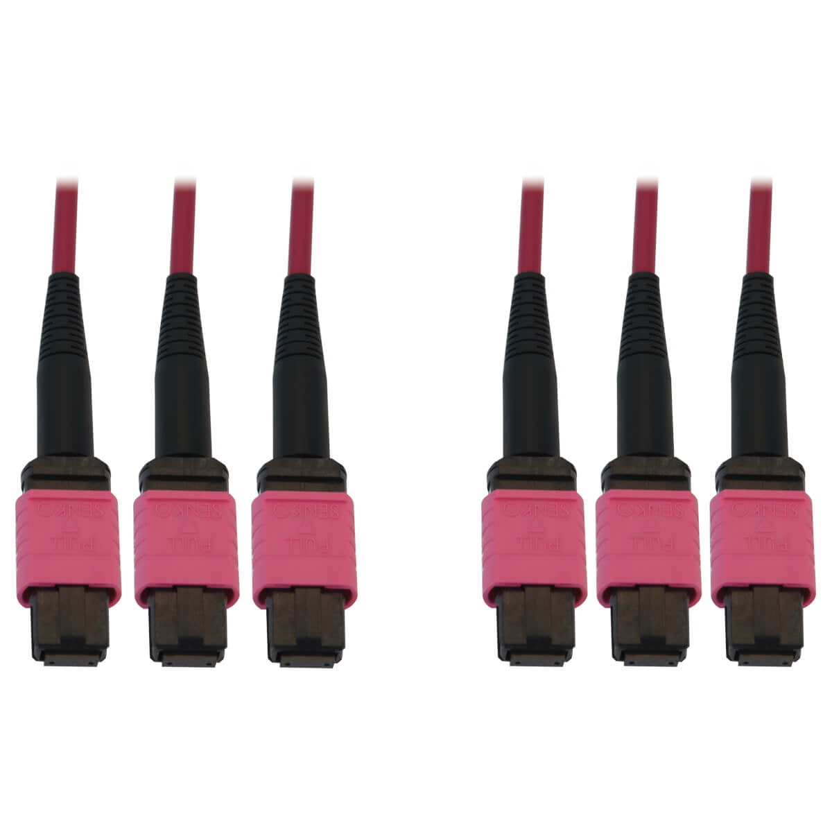 Tripp Lite N858B-10M-3X8Mg 40/100/400G Multimode 50/125 Om4 Fiber Optic Cable (3X8F Mtp/Mpo-Pc F/F), Lszh, Magenta, 10 M (32.8 Ft.)