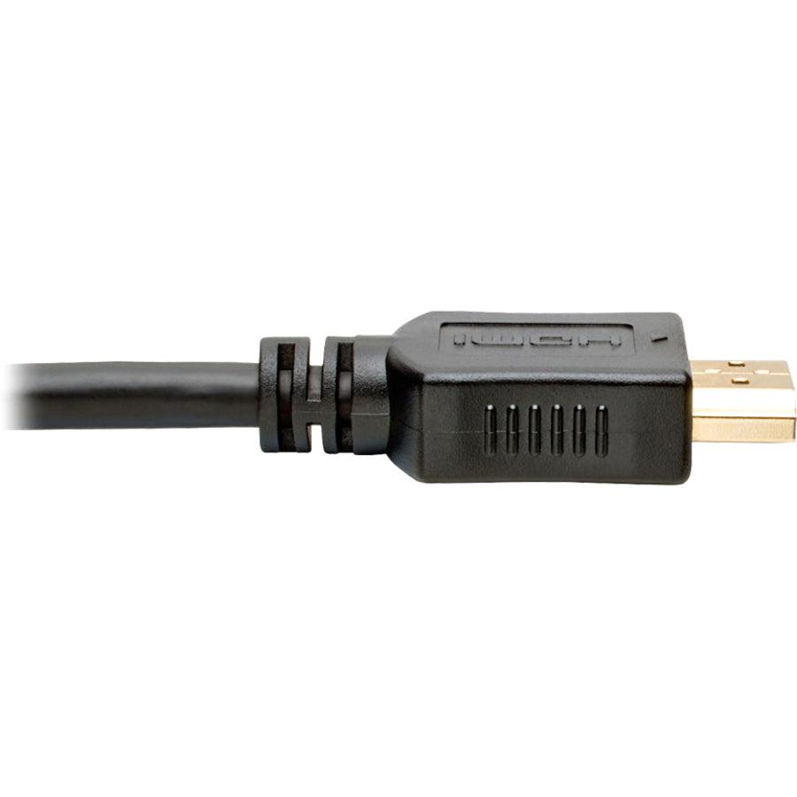 Tripp Lite P566-010-Vga-A Hdmi To Vga + Audio Active Adapter Cable (Hdmi To Low-Profile Hd15 + 3.5 Mm M/M), 10 Ft. (3.1 M)