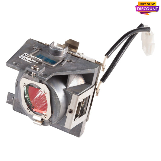 Viewsonic Rlc-118 Projector Lamp